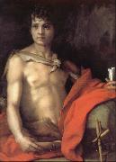 Andrea del Sarto Portrait of younger Joh oil painting artist